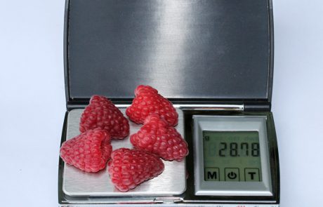 Amira-FruiTech-frutek-BP1-malyna-sort БП1 Аміра (BP1 Amira)